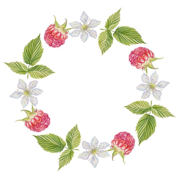 Венок малины ягоды листья соцветия акварель иллюстрация на изолированном фоне рамка открытка