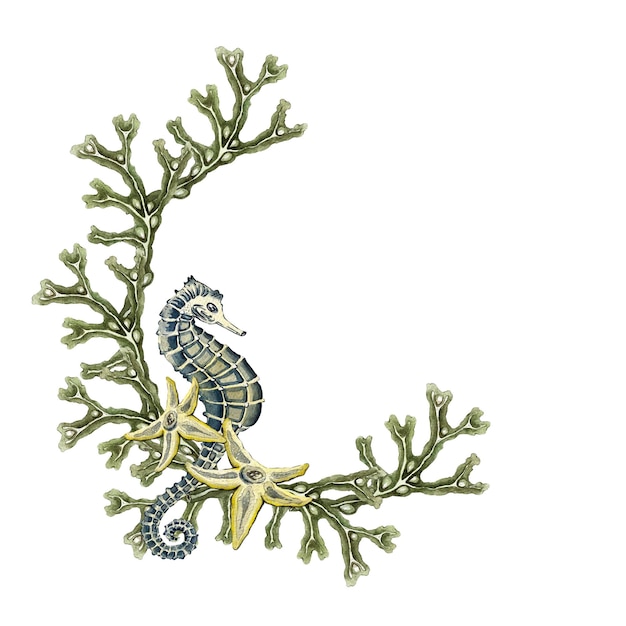 Wreath of seaweed Fucus branches yellow starfish blue seahorse Watercolor illustration