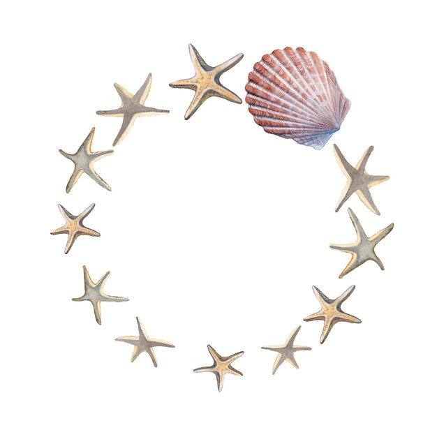 A wreath of shell and starfishes Watercolor illustration isolated background Underwater animals