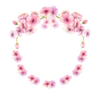 Una corona di fiori di sakura rosa primaverile su uno sfondo bianco isolato. illustrazione ad acquerello