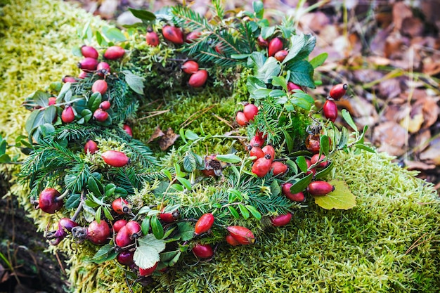 Wreath of wild rose and tree branches on the moss