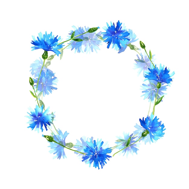 Wreath with cornflowers. Round frame with blue beautiful flowers. Hand drawn watercolor illustration. Isolated.