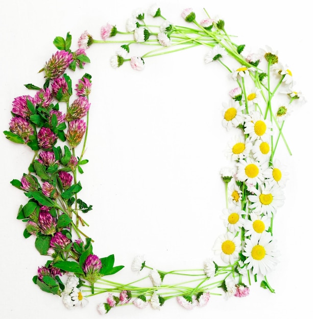 Wreath with field flowers, such as clover and chamomile, and daisy on white background. Flat lay.