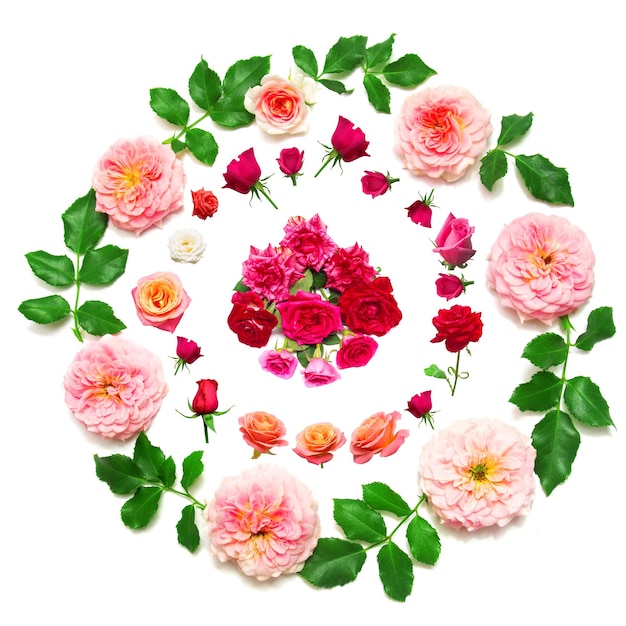 Wreath with leaves and flowers of pink roses isolated on white background. Beautiful wedding card. Leaf, summer and spring. Space for text. Flat lay, top view. Collection, set