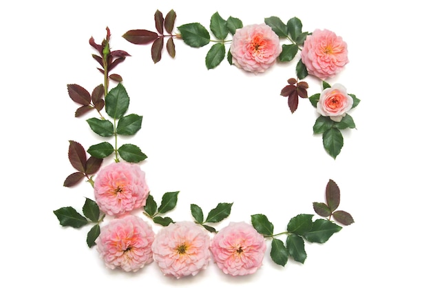 Wreath with leaves and flowers of pink roses isolated on white background. Beautiful wedding card. Leaf, summer and spring. Space for text. Flat lay, top view