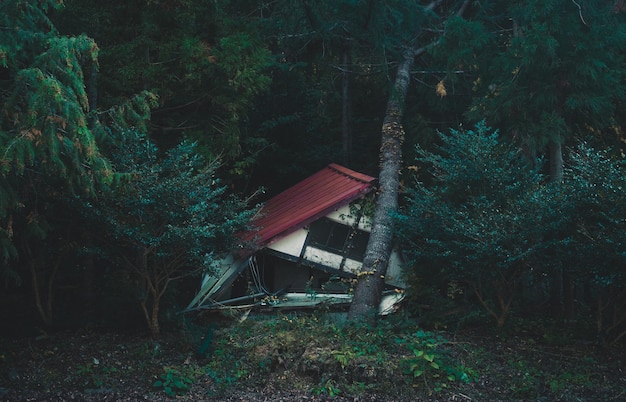 Photo wrecked up house in forest