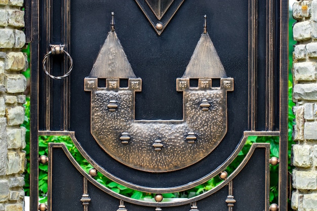 Wrought-iron gates, ornamental forging, forged elements close-up.