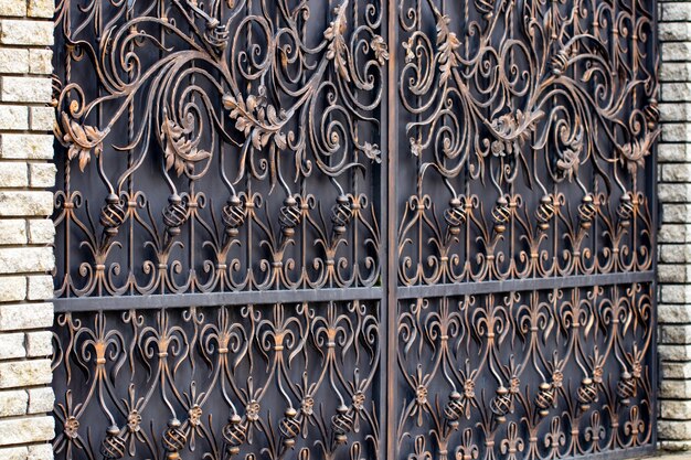 Wrought-iron gates, ornamental forging, forged elements close-up.