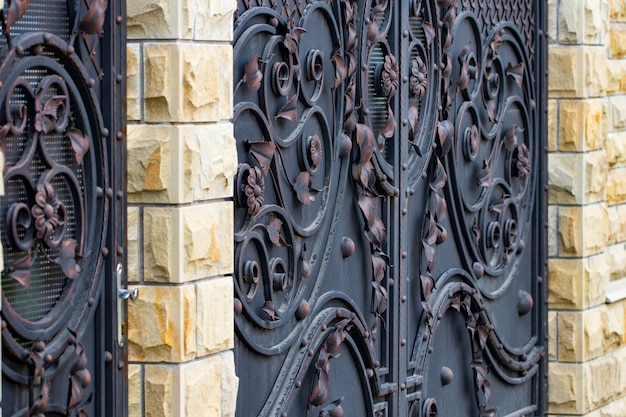 Wrought-iron gates, ornamental forging, forged elements close-up.