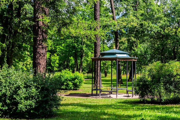 Wrought iron gazebo in a park at summer