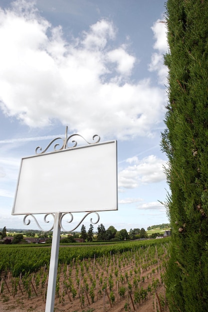 Foto cartello in ferro battuto nei vigneti di un'azienda vinicola francese