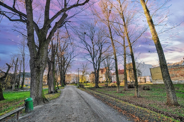 Wschowa kleine stad in Polen