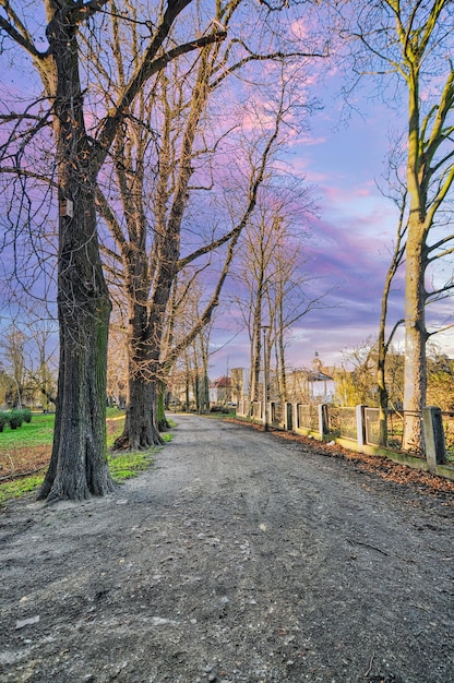 Wschowa small town in Poland