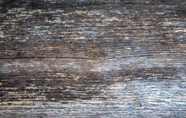 Wwooden texture