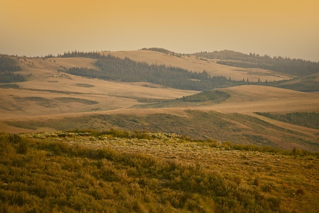 Wyoming-landschap