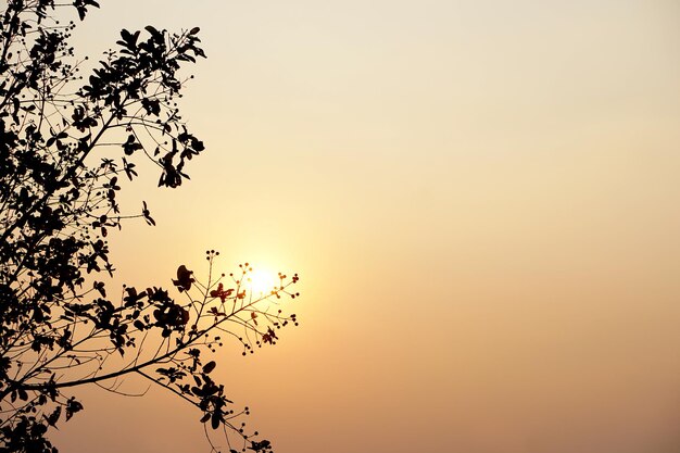 X9Achtergrond van de ondergaande zon in de avond