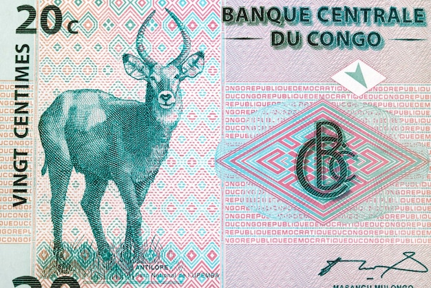 X9Antelope from old Congolese money