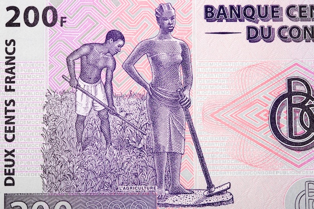 X9Fieldwork from Congolese franc