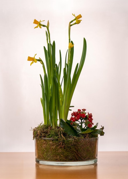 XADaffodils in a glass vase Home plants The smell of spring