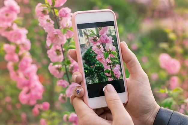 XAGirl takes pictures of beautiful pink spring flowers