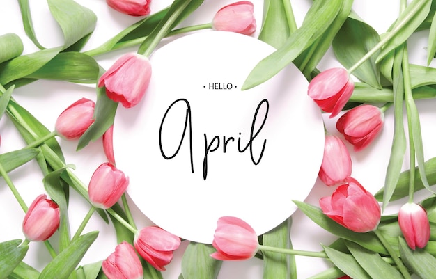 XAInscription Hello April Цветок тюльпана Весенний фон