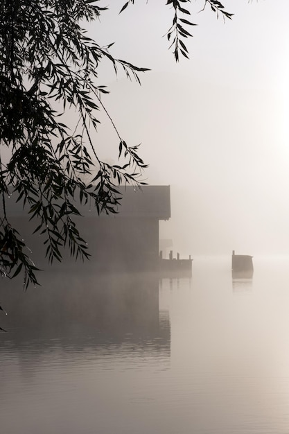 XDxAFog Ochtend met mist op het meer