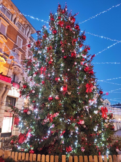 Albero di natale