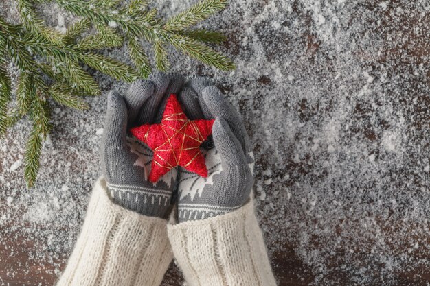 Stelle rosse di natale in mani della ragazza