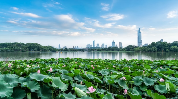 Xuanwu Lake in Nanjing en de skyline van de stedelijke architectuur