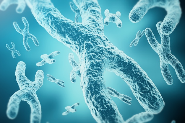 Cromosomi xy come concetto per la terapia genica di simbolo medico di biologia umana o ricerca genetica di microbiologia. rendering 3d