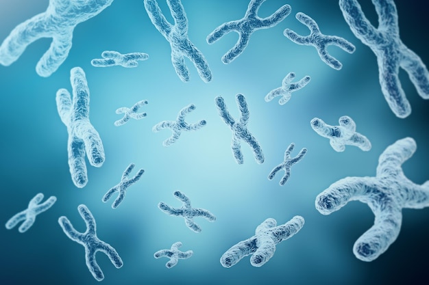 인간 생물학 의료 기호 유전자 치료 또는 미생물학 유전학 연구 3d 렌더링을 위한 개념으로 XY염색체