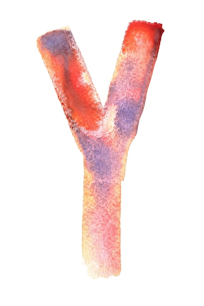 Y - handmade watercolor alphabet