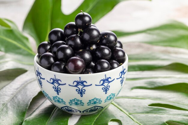 야부티카바 (Yabuticaba) 는 브라질, 아르헨티나, 볼리비아, 파라과이에서 자생하는 나무이다.