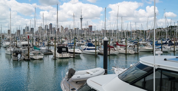 Yacht al porto di auckland, nuova zelanda