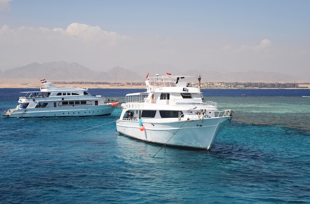 Yacht ship white sea red in egypt 