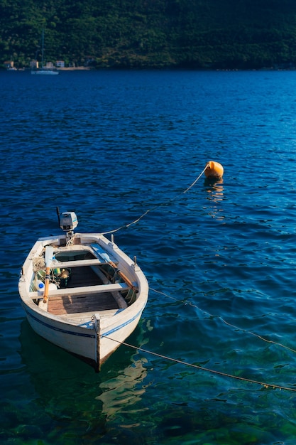 Yacht e barche nel mare adriatico