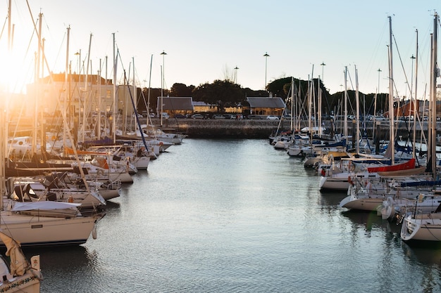 Yachts standing in rows on the river Tagus and cars that ride along the road adjacent to the river