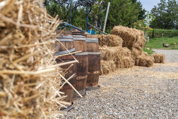 Yard in the village in summer time