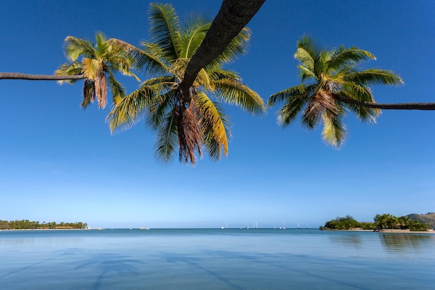 Yasawa-eilanden Fiji Zuidelijke Stille Oceaan