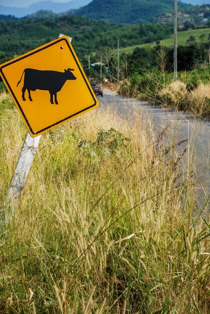 Foto segno giallo di attraversamento di animali su un campo erboso lungo la strada