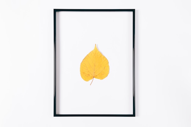 Yellow autumn leaf in a black frame