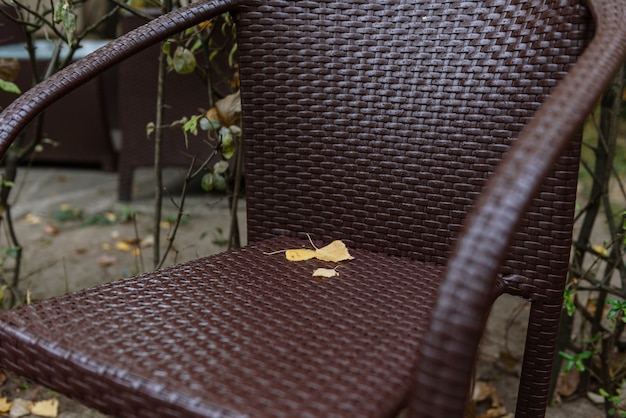 Yellow autumn leaves on a brown wicker chair on the terrace of a small cafe
