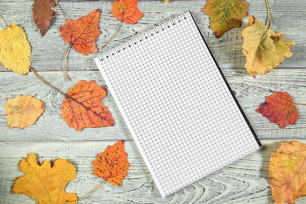 Yellow autumn leaves and a notebook on a light old wooden background