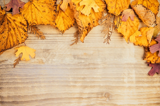 Фото Желтые осенние листья на светлом деревянном фоне. пустое пространство для текста. осенний фон.