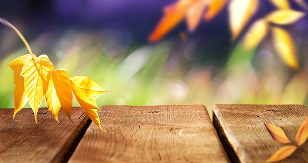 Yellow autumn leaves and the surface of a wooden table