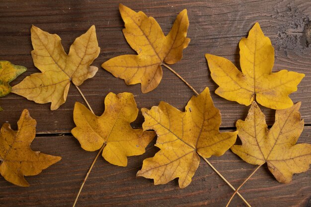 Yellow autumn leaves on wooden dark natural wood Autumn background