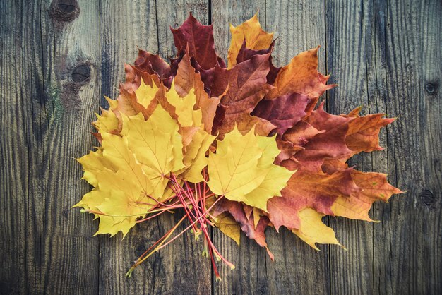 Yellow autumn leaves on wooden table