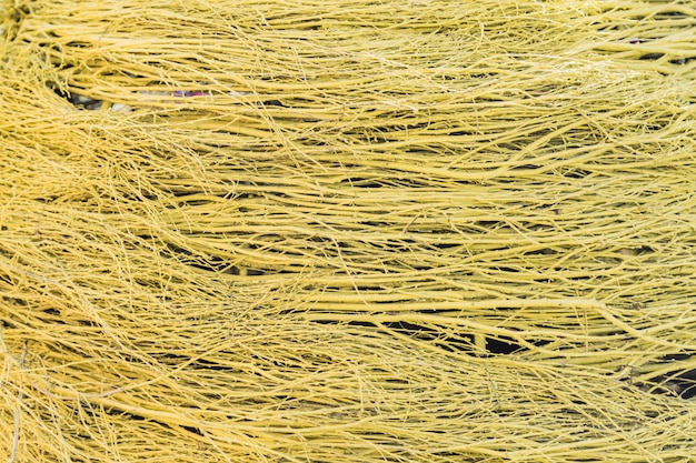 Yellow background of thin dry twigs