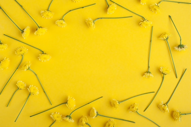 Yellow background with chrysanthemum