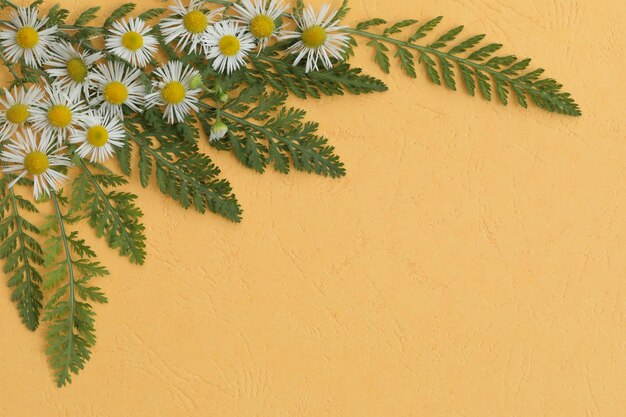 yellow background with flowers and copy space